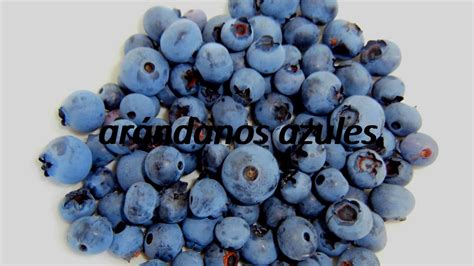 blueberry in spanish